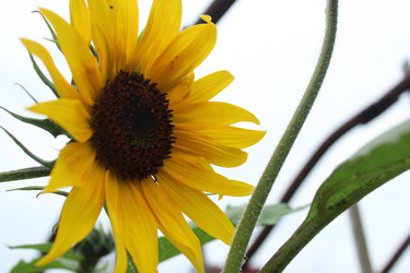 Similar image 21894372