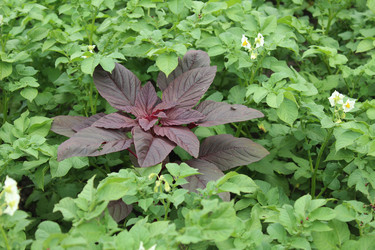 Similar image 21894373