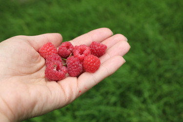 Similar image 21894374