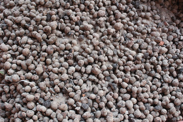 Similar image 21894387