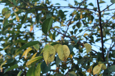 Similar image 21894391