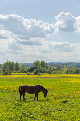 Similar image 21886660