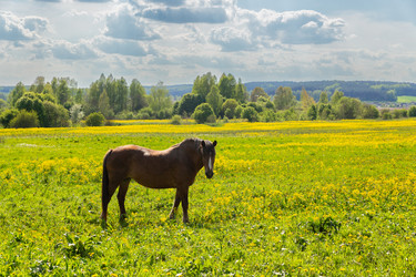 Similar image 21886661