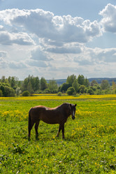 Similar image 21886662