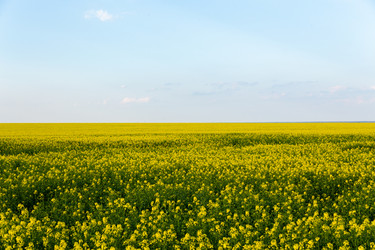 Similar image 21885942