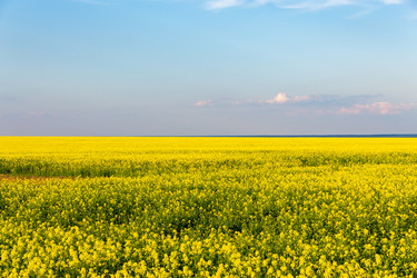 Similar image 21885943