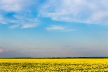 Similar image 21885944