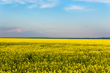 Similar image 21885945