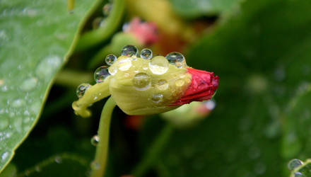 Similar image 21883773