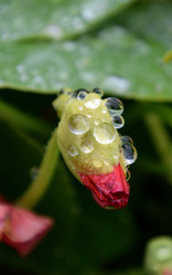 Similar image 21883774