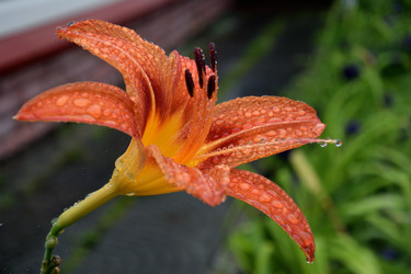 Similar image 21883775