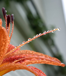 Similar image 21883776