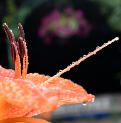 Similar image 21883777