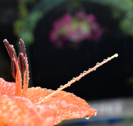 Similar image 21883779