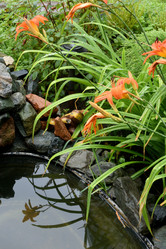 Similar image 21885414