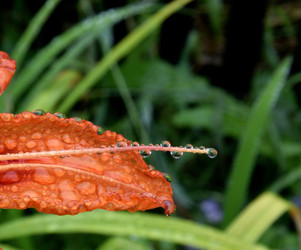 Similar image 21885417