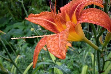 Similar image 21885418