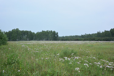 Similar image 21885420