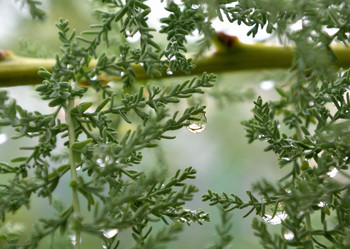 Similar image 21885421