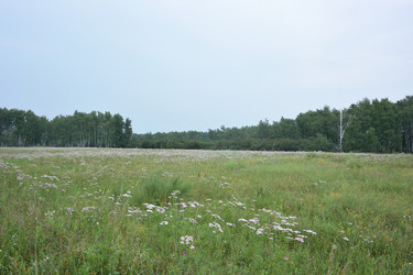 Similar image 21885422