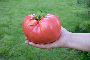 Similar image 21885425