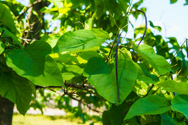 Similar image 21892405