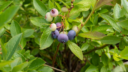 Similar image 21890358