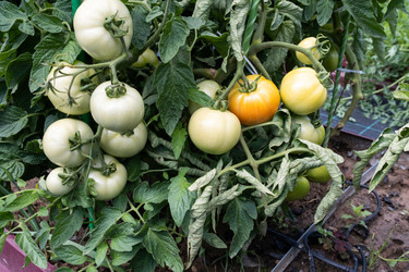 Similar image 21890359