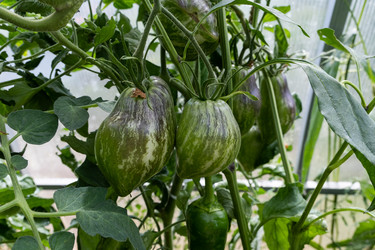 Similar image 21890360