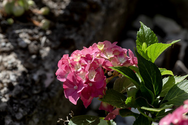 Similar image 21885095