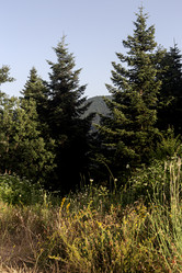 Similar image 21885098