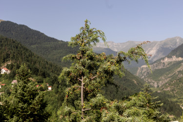 Similar image 21885101