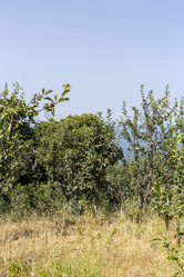 Similar image 21885103