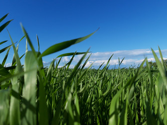 Similar image 21884474