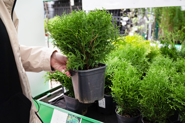 Similar image 21885252