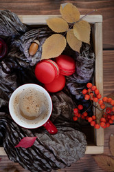 Similar image 21885262