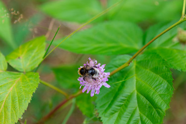 Similar image 21884476