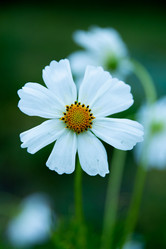 Similar image 21884477