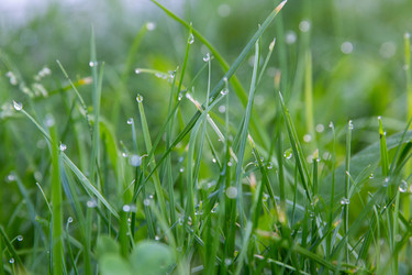 Similar image 21884478