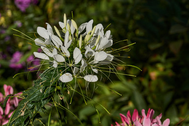 Similar image 21885105