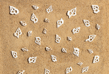 Similar image 21887830