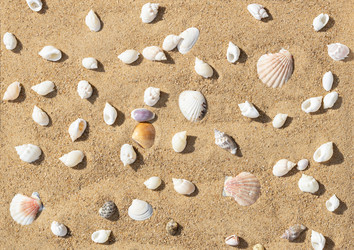 Similar image 21887831