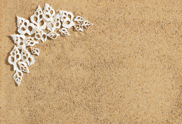 Similar image 21887833