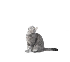 Similar image 21887842