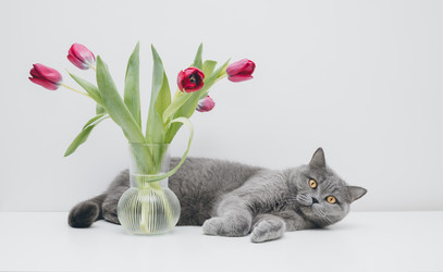 Similar image 21887843