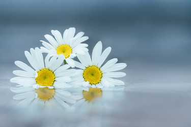 Similar image 21887952