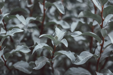 Similar image 21887953