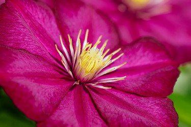 Similar image 21887954