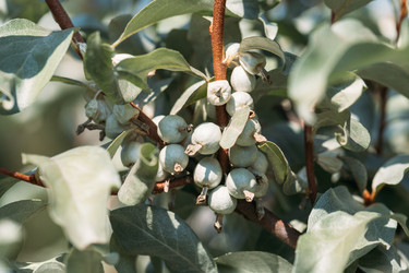 Similar image 21887958