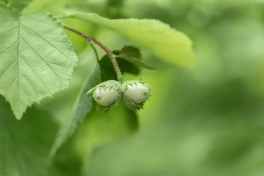 Similar image 21887959